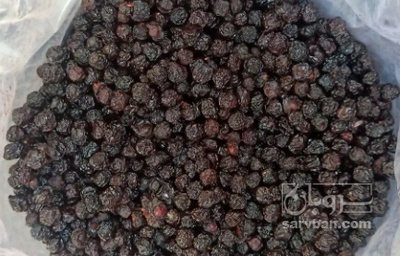 فروش آلبالو خشک