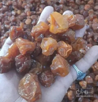 فروش آلوزرد خشک