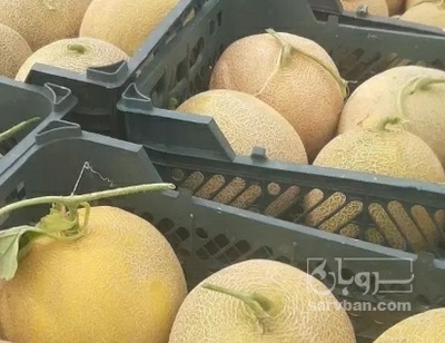 فروش ملون