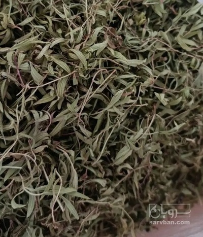 فروش آویشن خشک (گیاه‌ دارویی)