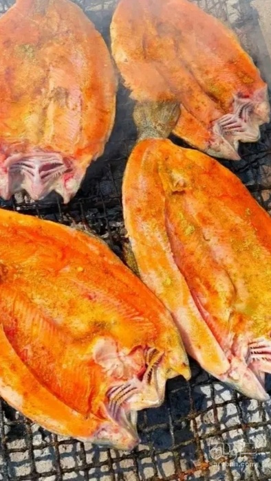 فروش ماهی قزل آلا گوشتی