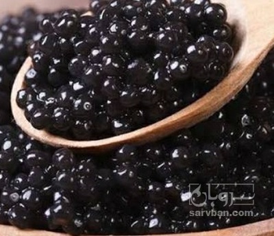 فروش خاویار