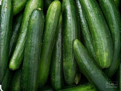 فروش خیار