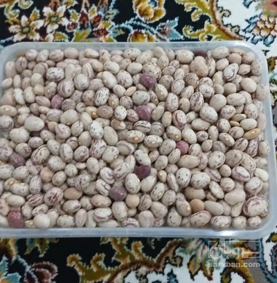 فروش لوبیا چیتی کرمی