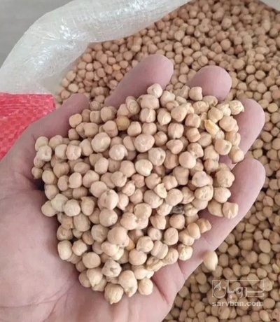 فروش نخود