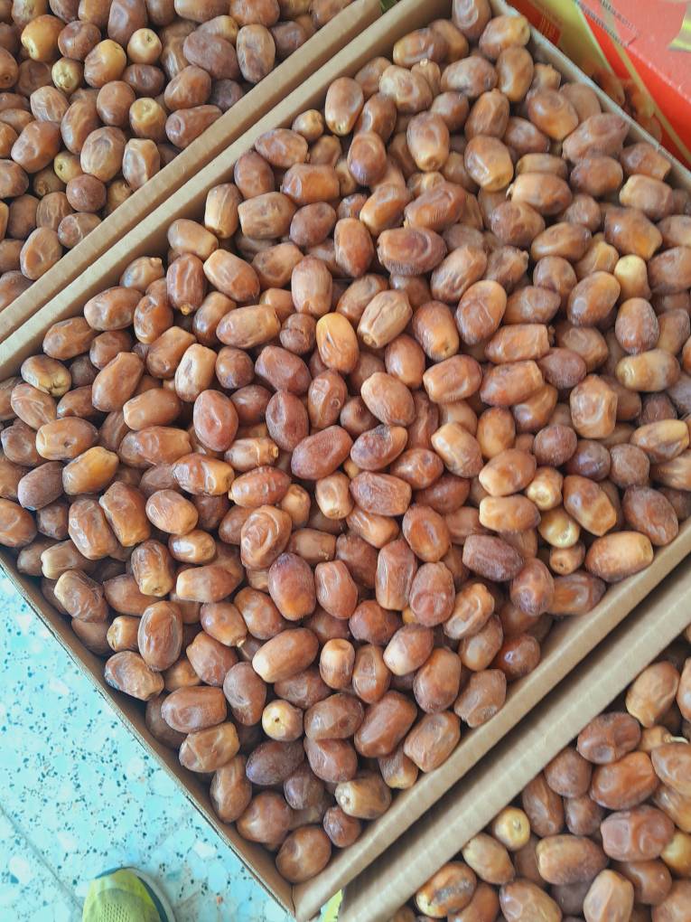 فروش خرما رطب