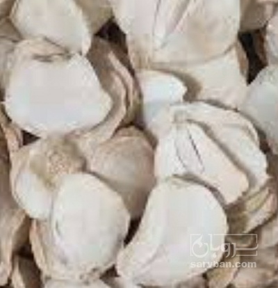 فروش موسیر
