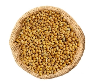 فروش ارزن