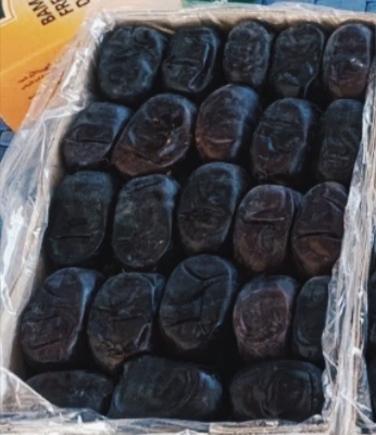 فروش خرما مضافتی