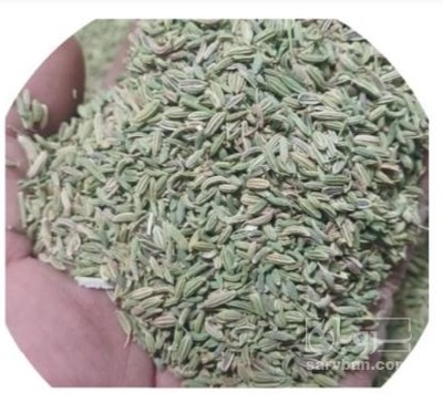 فروش رازیانه (گیاه‌ دارویی)