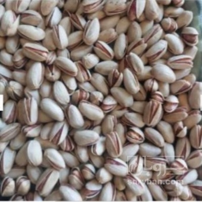 فروش پسته