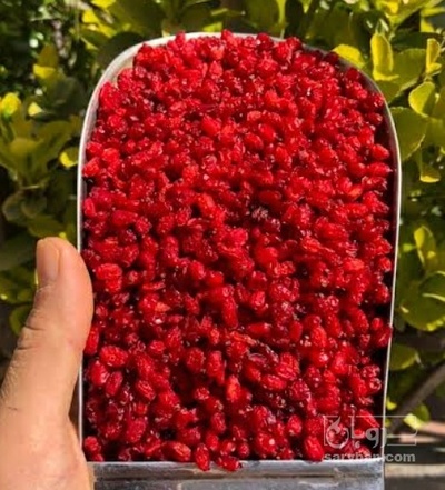 فروش زرشک پفکی