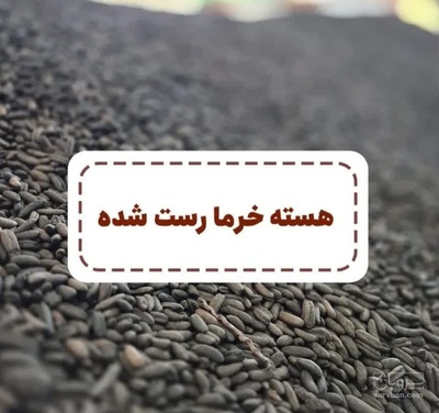 فروش هسته خرما