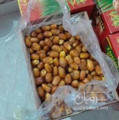 فروش خرما