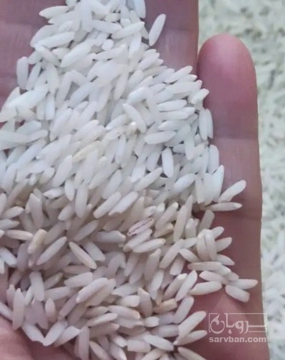 فروش برنج