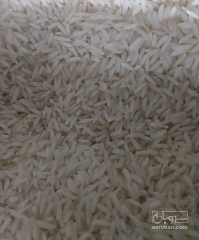 فروش برنج