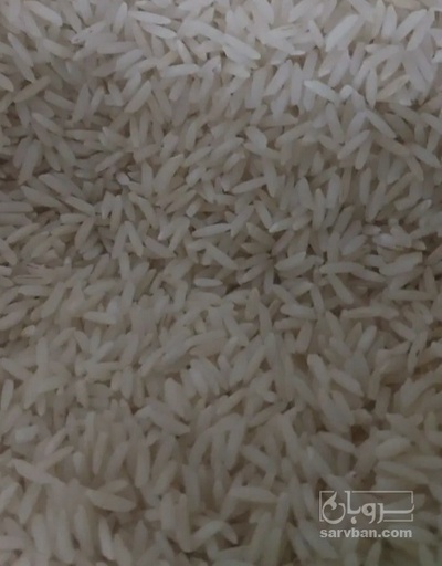 فروش برنج