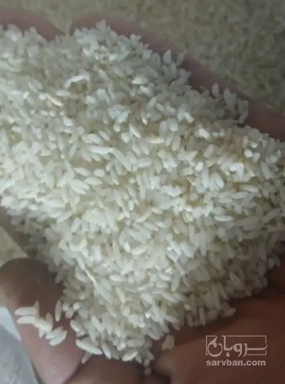 فروش برنج