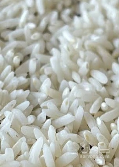 فروش برنج