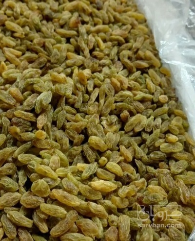 فروش کشمش فخری