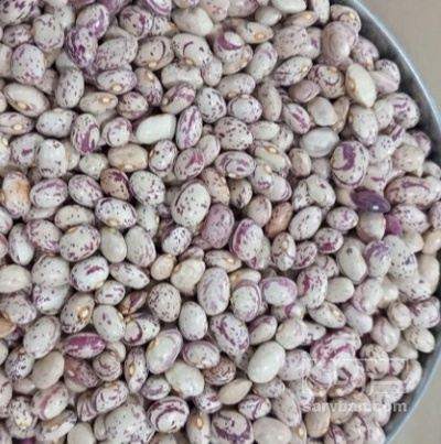 فروش لوبیا چیتی