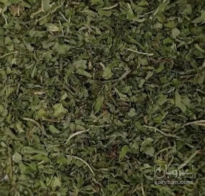 فروش نعناع خشک (گیاه‌ دارویی)