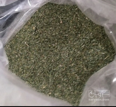 فروش گشنیز خشک