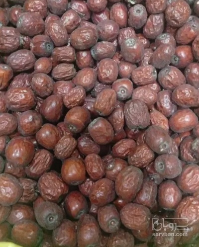فروش عناب دارویی