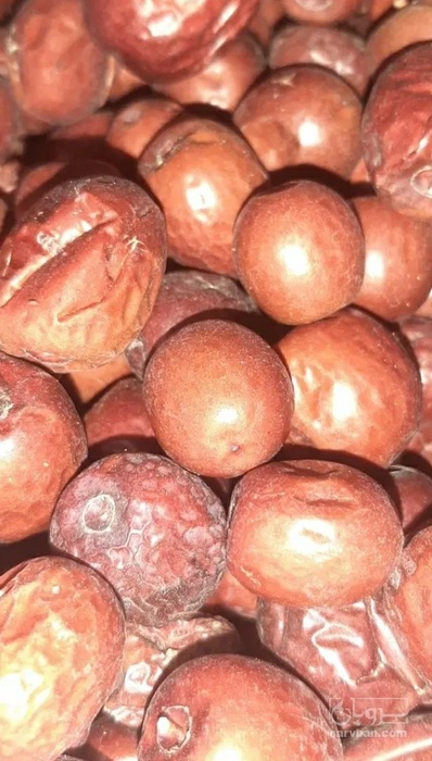 فروش عناب خوراکی