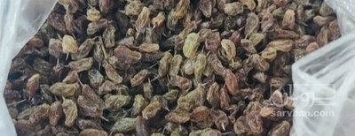 فروش کشمش دیم