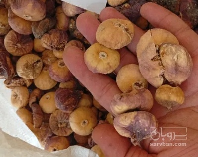 فروش انجیر خشک