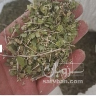فروش آویشن خشک (گیاه‌ دارویی)