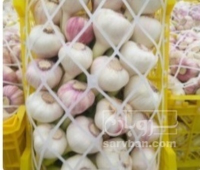 فروش سیر
