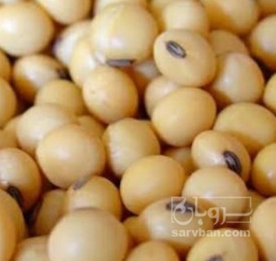 فروش سویا