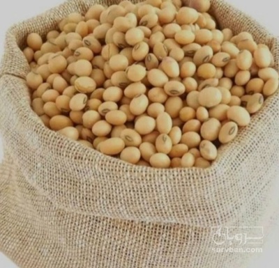 فروش سویا