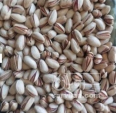 فروش پسته