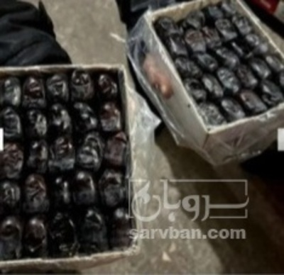 فروش خرما