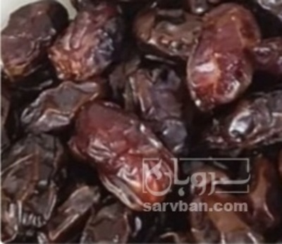 فروش خرما