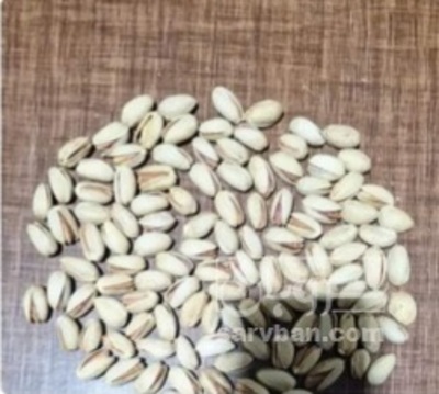 فروش پسته