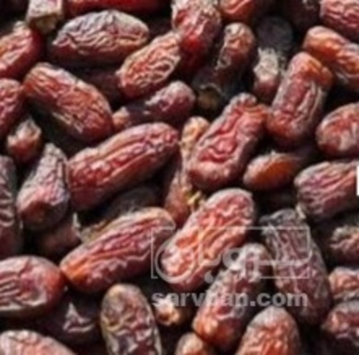 فروش خرما