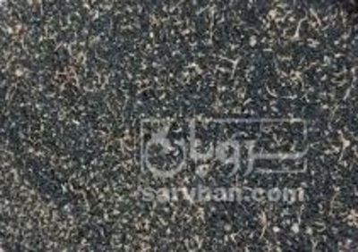 فروش بذر پیازمینروا