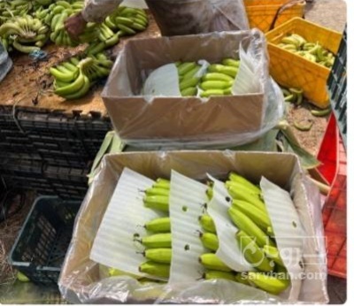 فروش موز