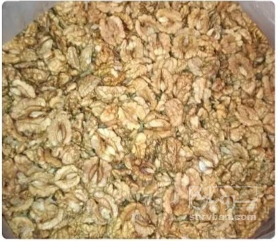فروش گردو