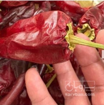 فروش فلفل