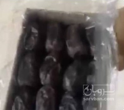 فروش خرما