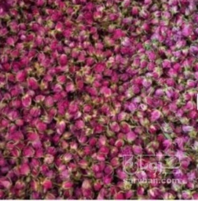 فروش گل محمدی (گیاه‌ دارویی)