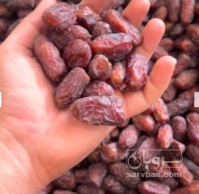فروش خرما پیارم