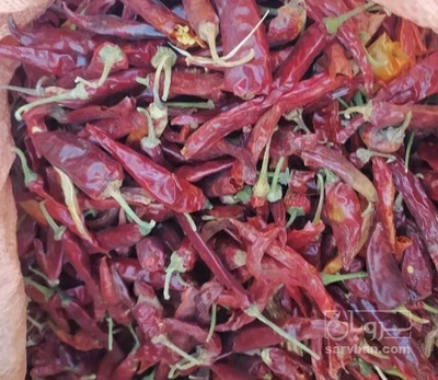 فروش فلفل شاخ بزی