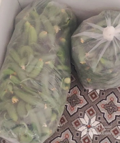فروش خیار