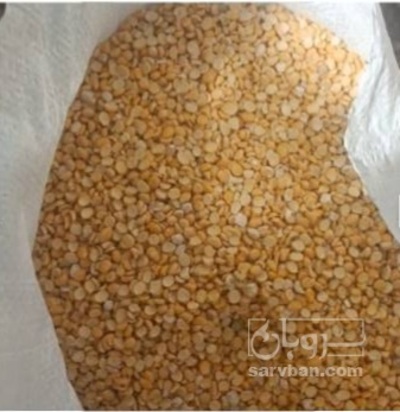 فروش نخود کفتری - لپه